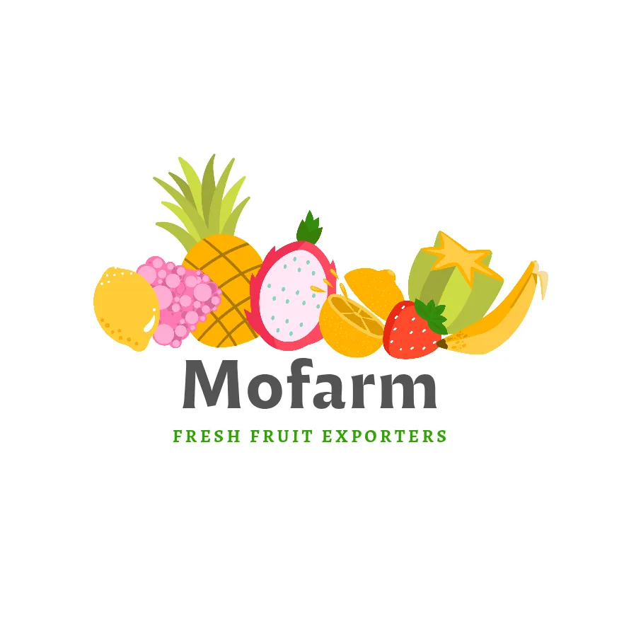 Logo Concepts design 11